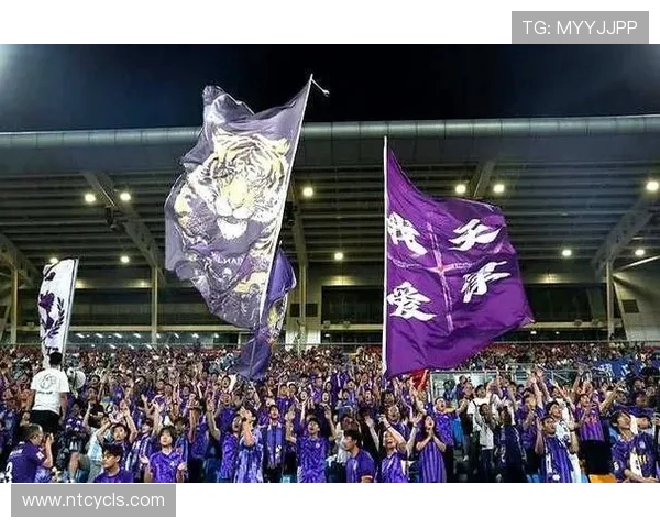 天津津门虎迎战强敌,全力争胜力争排名提升,球迷期待激烈对决